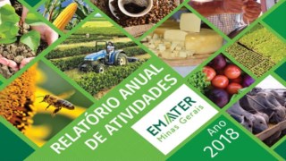 Relatório Anual de Atividades - EMATER Ano 2018 Relatório Anual de Atividades - EMATER Ano 2018